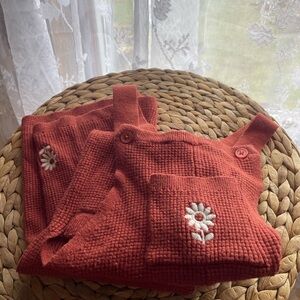 Modern Moments Rust Knit Overalls